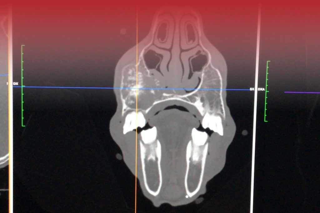 Digital Imaging and Image Integrity in Scientific Publication