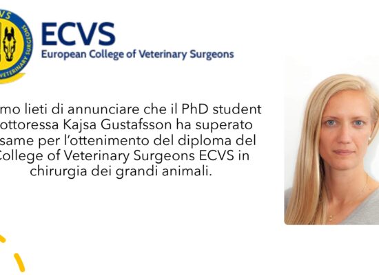 ECVS European College of Veterinary Surgeons