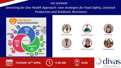 Searching for One Health Approach: new strategies for Food Safety, Livestock Production and Antibiotic Resistance