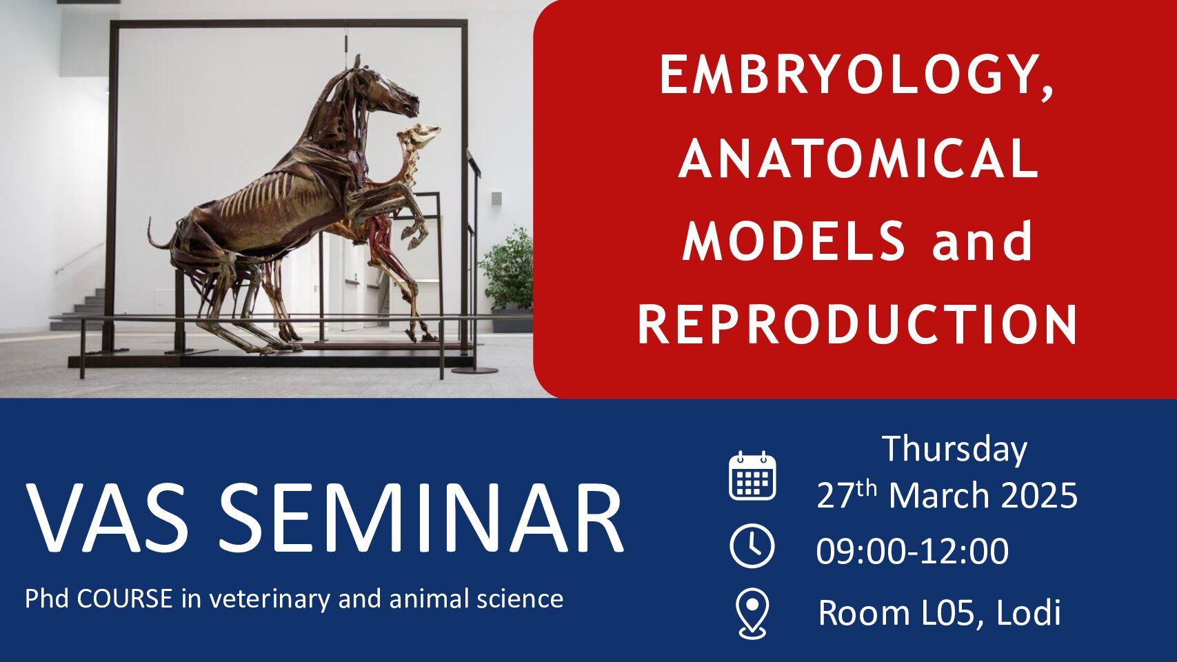 VAS Seminar: Embryology, Anatomical Models and Reproduction